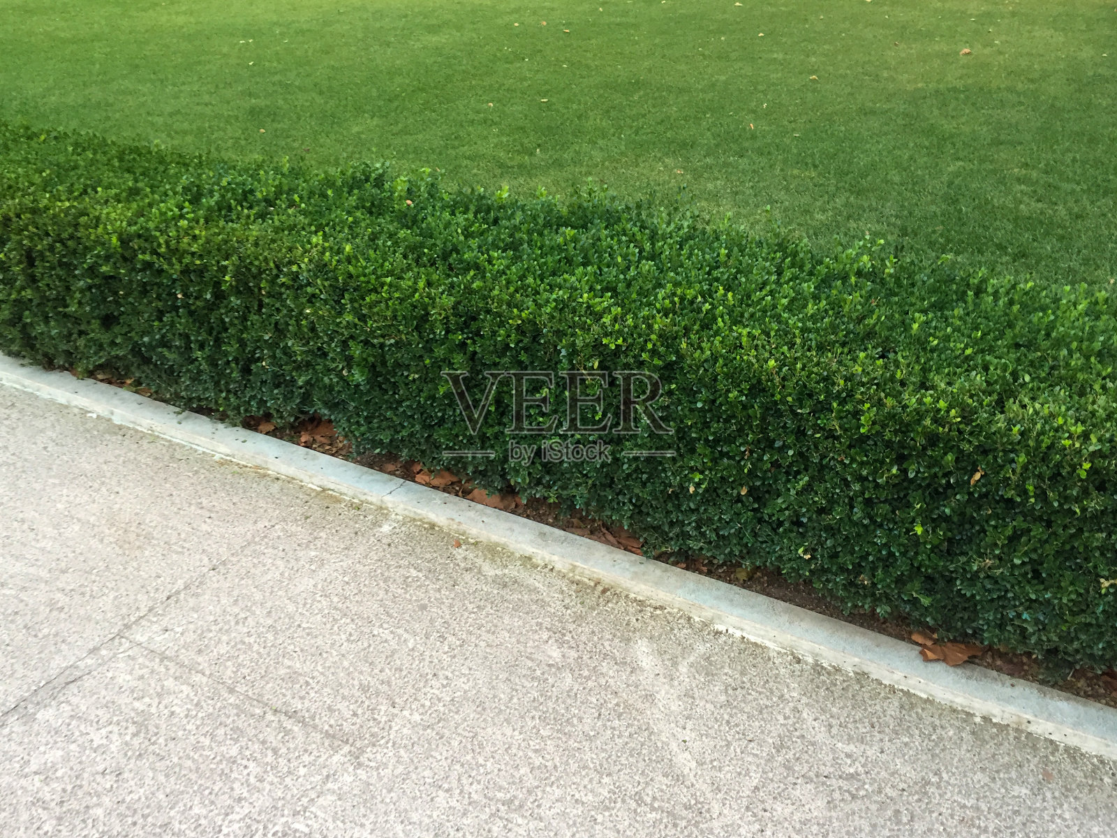 公园内以草甸为背景的混凝土地面通道照片摄影图片