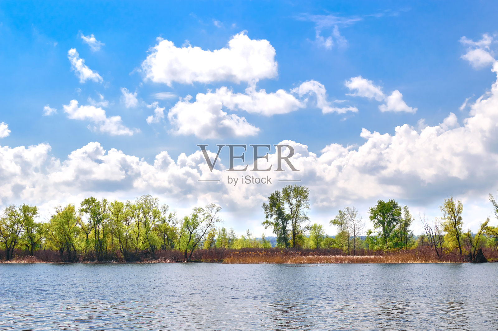 美丽的春天风景照片摄影图片