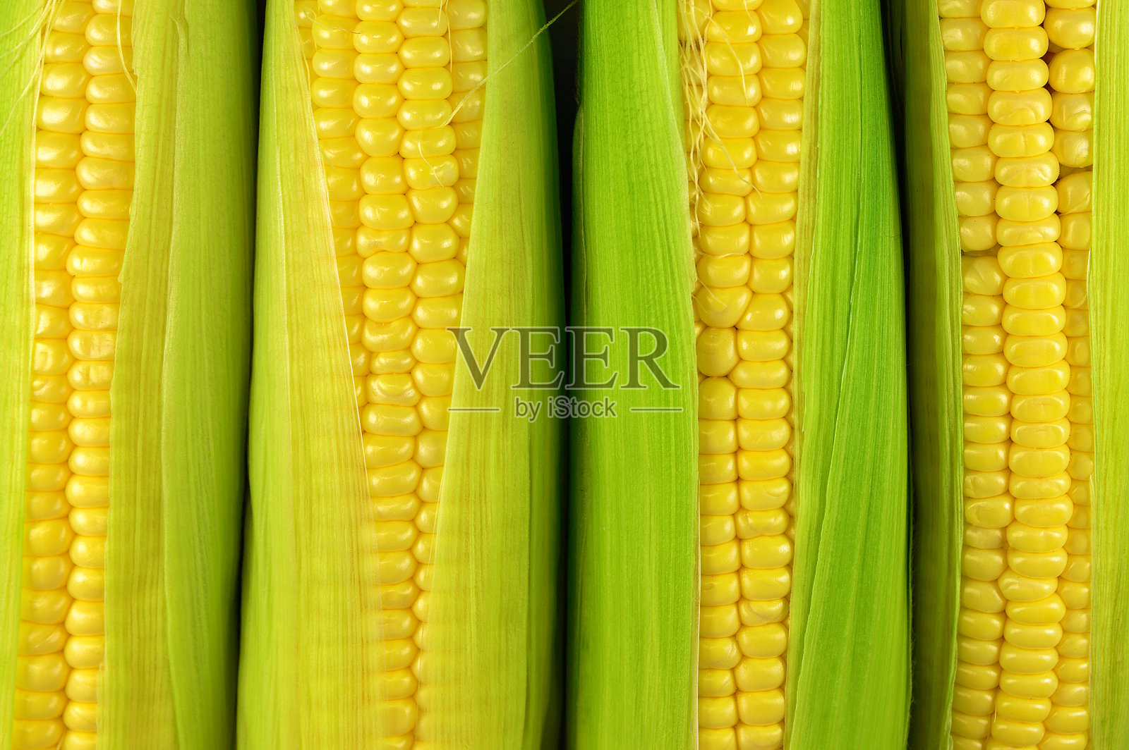 新鲜的生玉米照片摄影图片