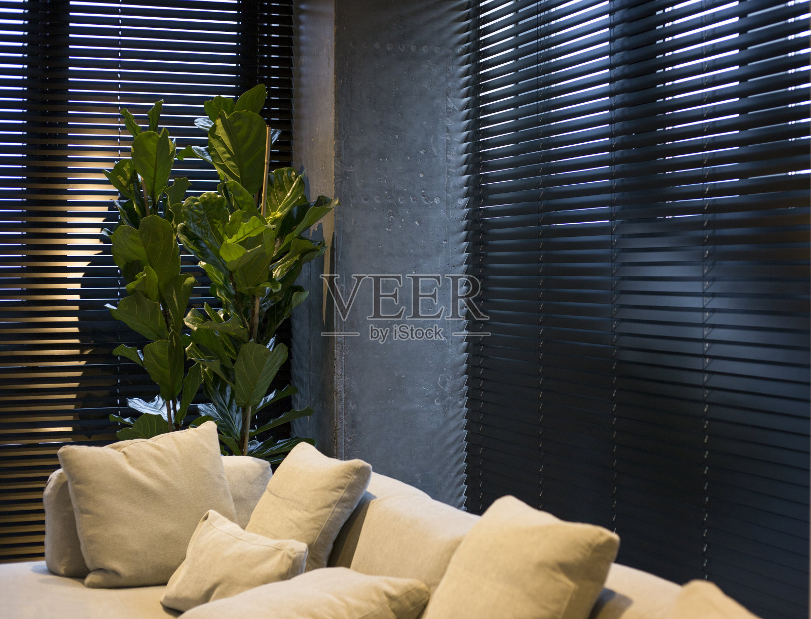 木质百叶窗的黑色马达在内部照片摄影图片