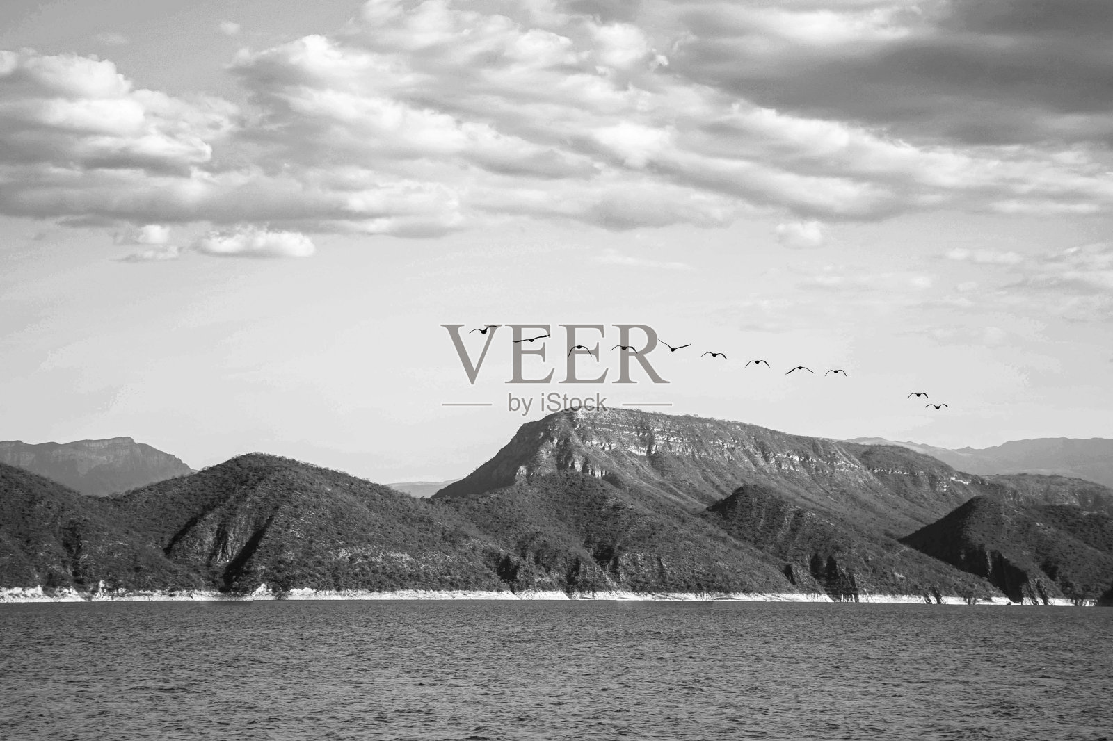 令人窒息的景色，一排海鸥飞向海岸与山在多云的天空下照片摄影图片