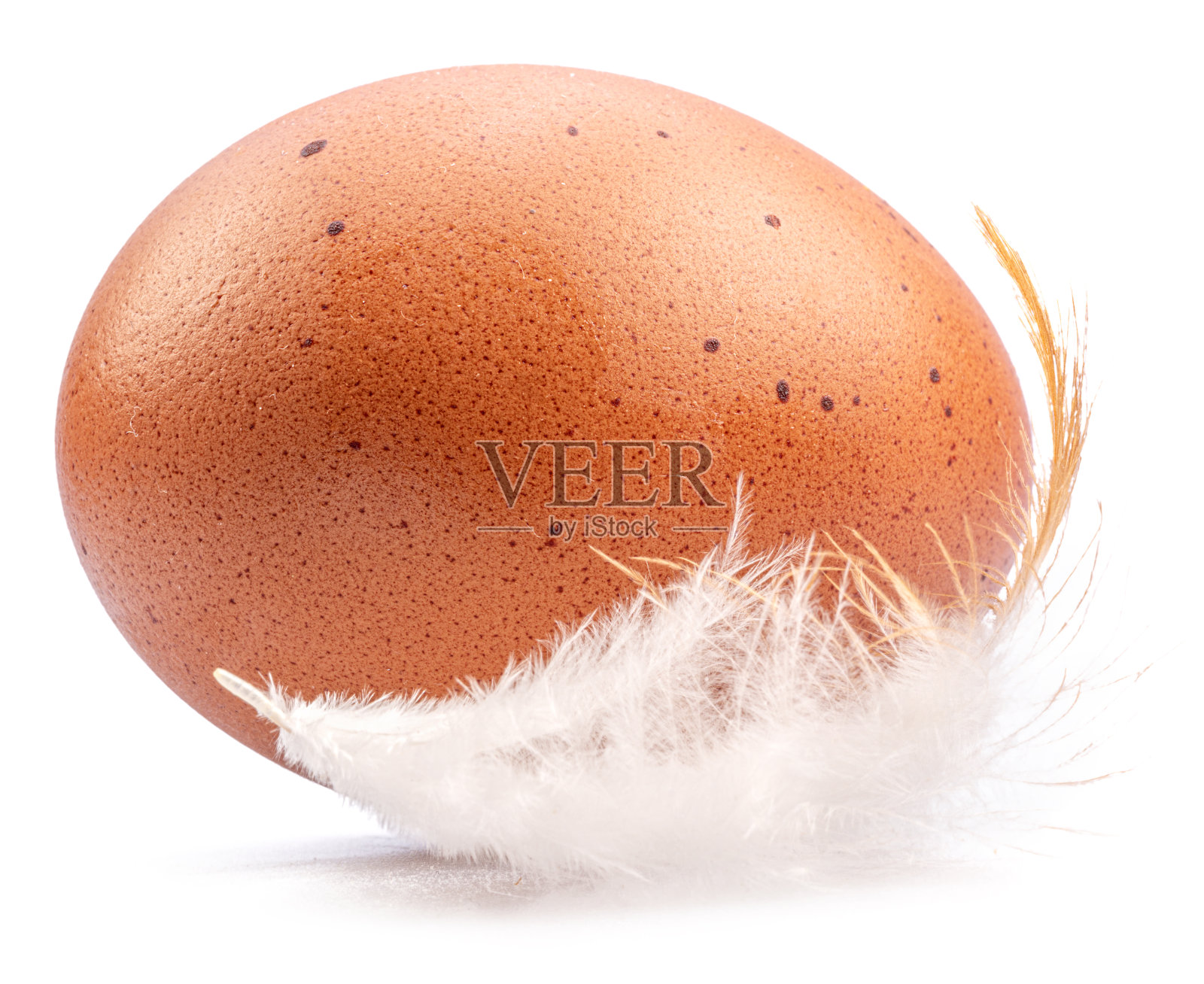 棕色的鸡蛋和鸡毛孤立在白色的背景上。照片摄影图片