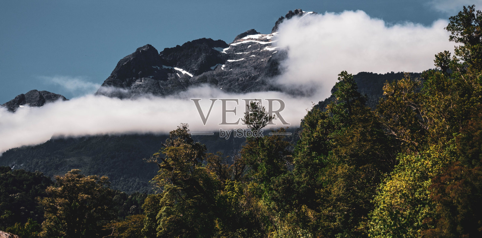 黑色的落基山脉隐藏在雾后面，前景是绿色的树木照片摄影图片