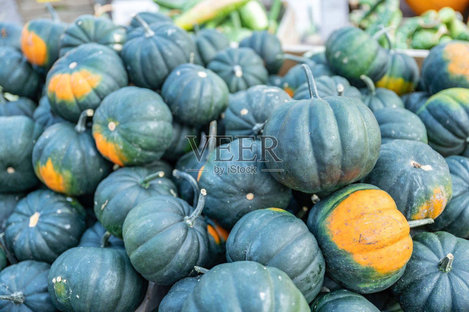 大量的南瓜被批量出售，散发着秋天的气息照片摄影图片