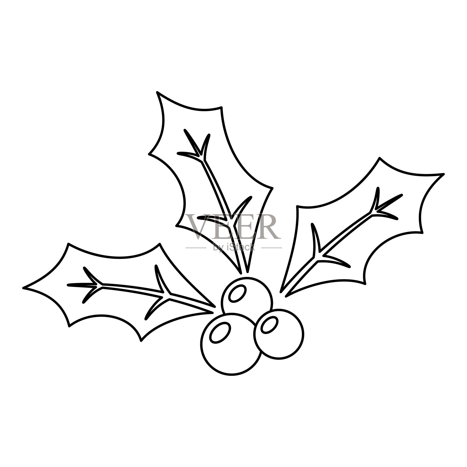 儿童用Holly Berry的涂色页插画图片素材