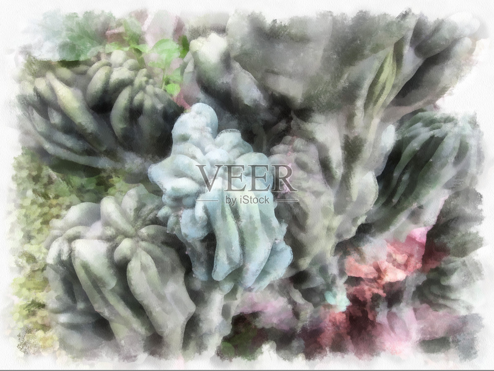 表面的仙人掌水彩风格插画印象派画作。插画图片素材