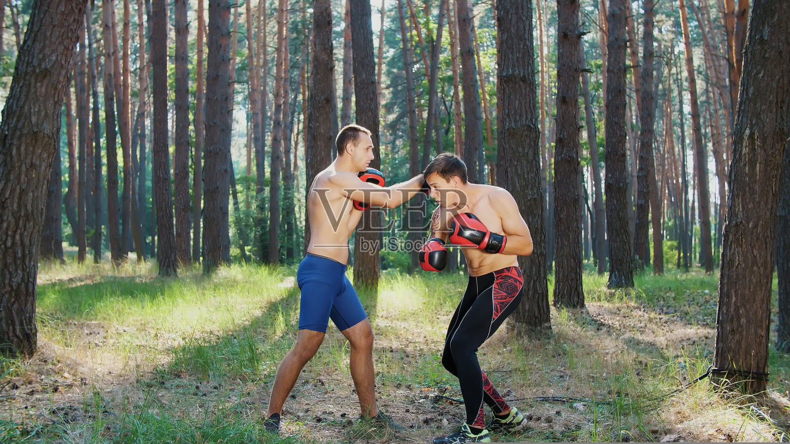 戴着拳击手套，年轻的运动员着身体，练习击打、捕获和战斗的技术。缓慢的运动。在松林里，在夏天，在阳光下。照片摄影图片