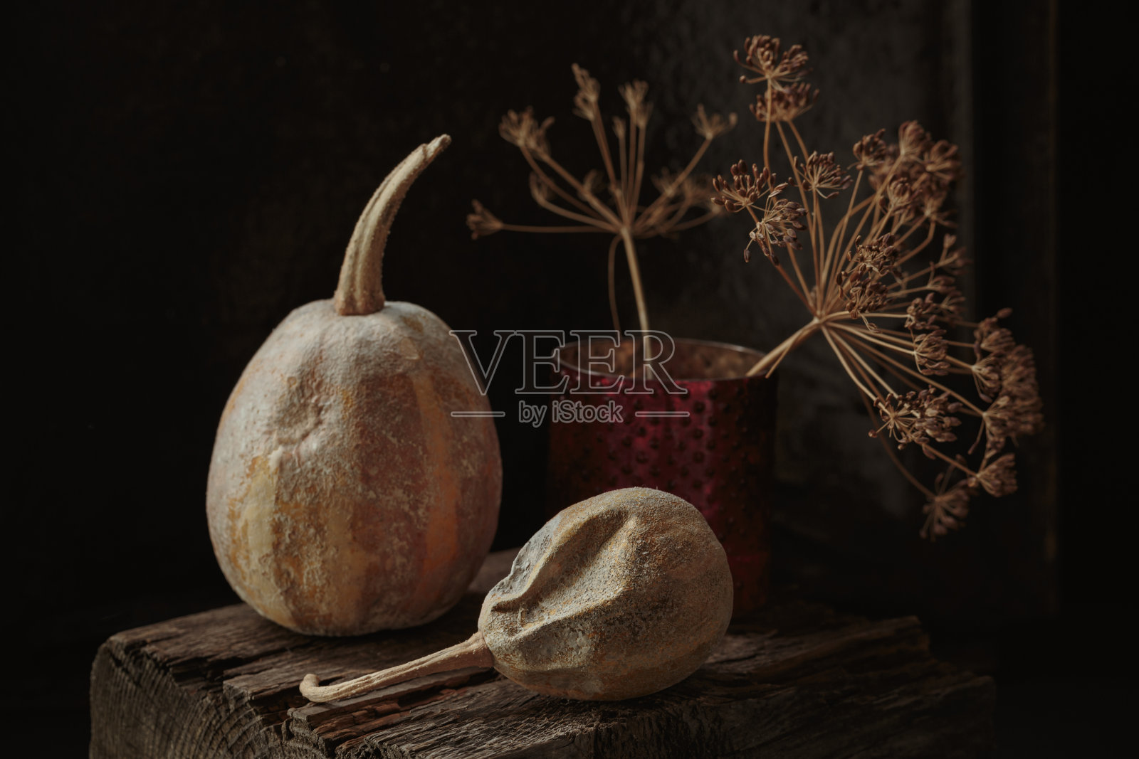 秋天的感恩节作文照片摄影图片