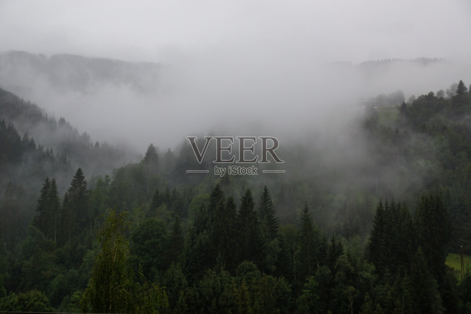 多云的森林照片摄影图片