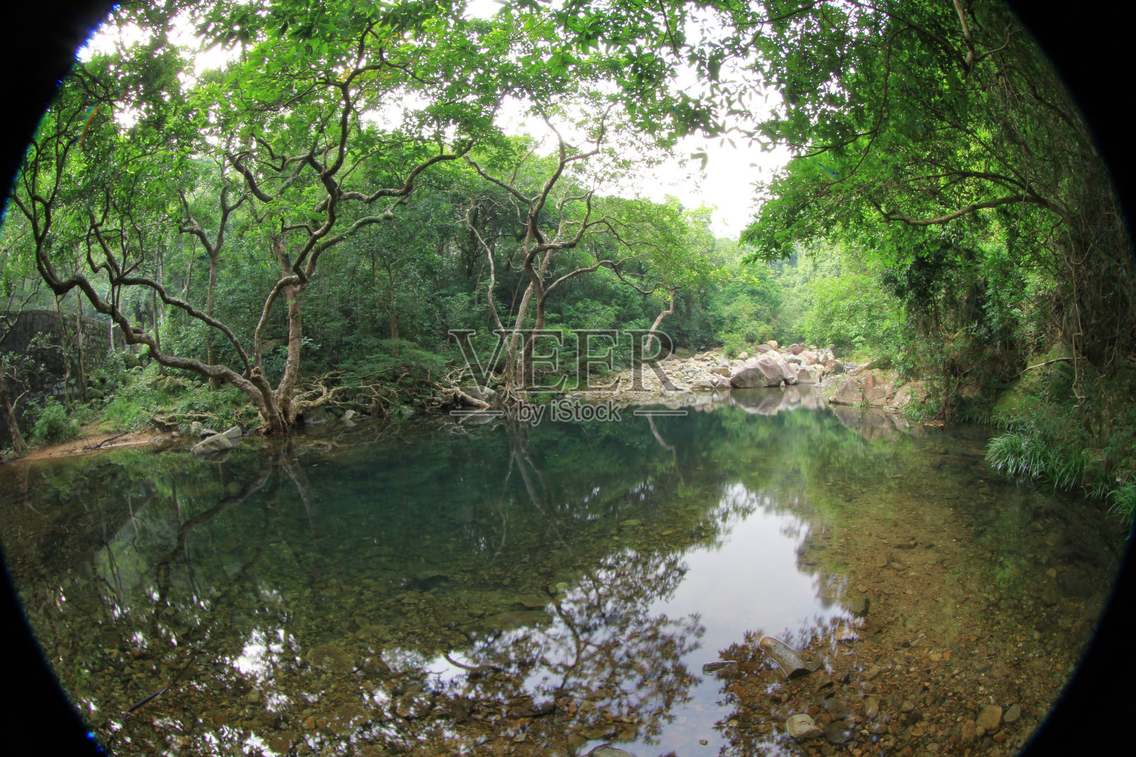 城门水塘溪，城门水塘2011年10月8日照片摄影图片