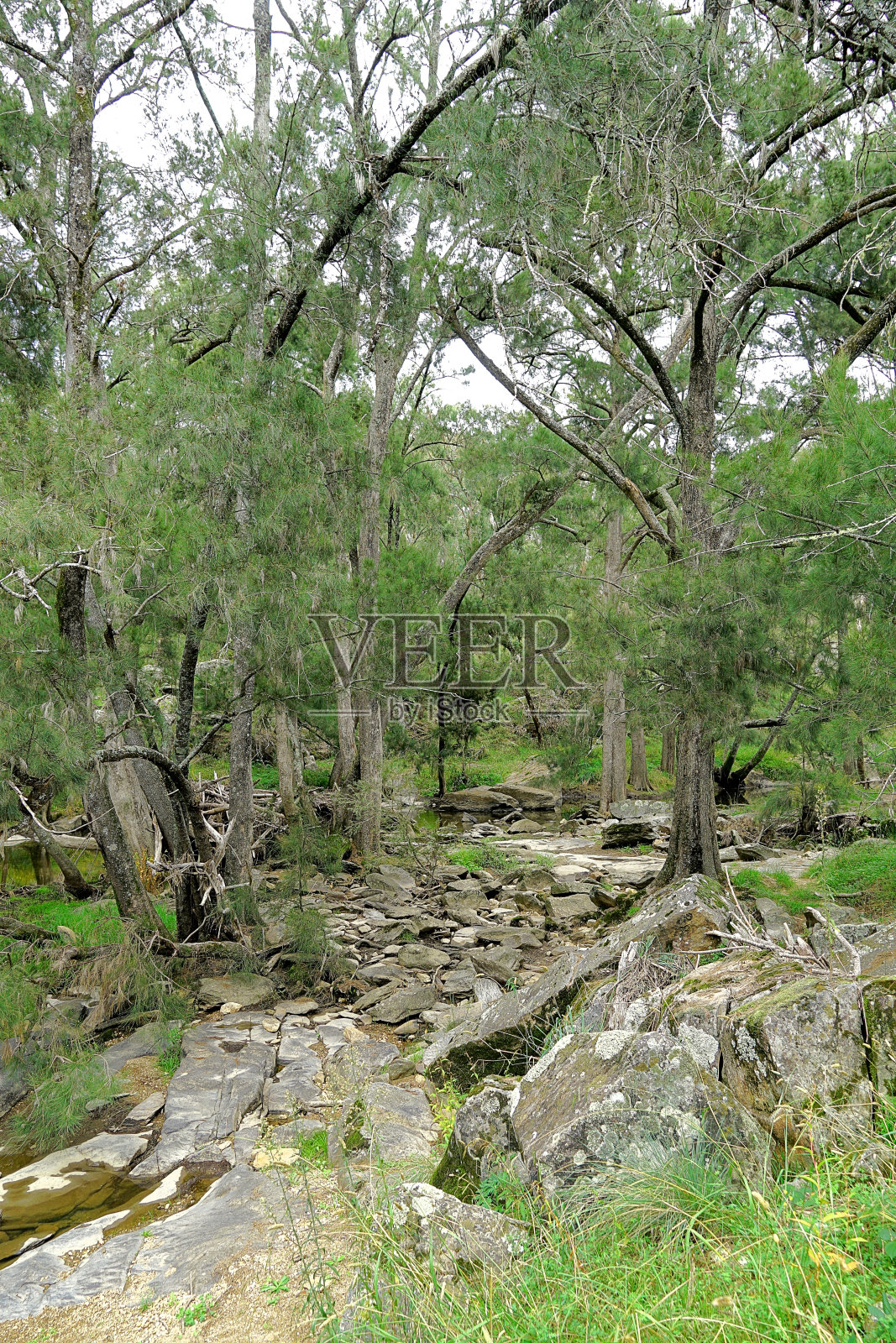 奥兰治，新南威尔士，澳大利亚照片摄影图片