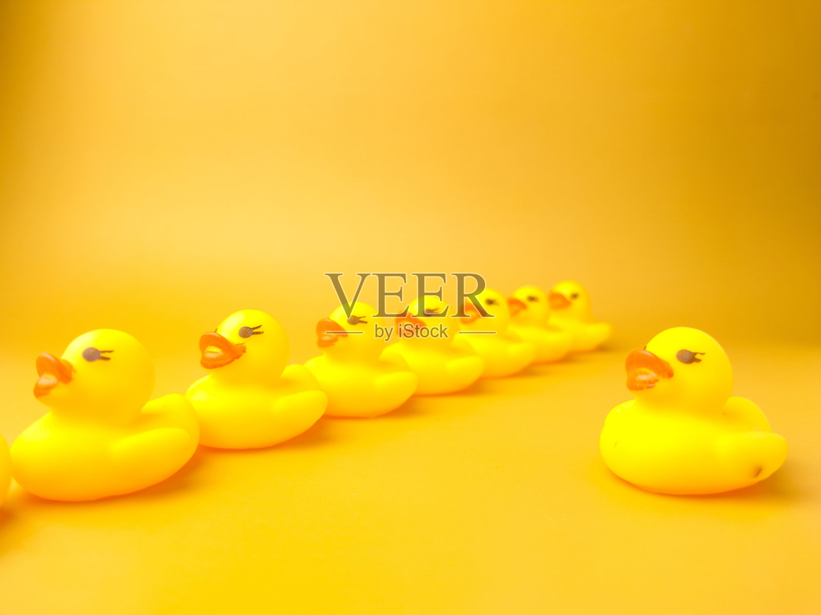一群带引线的玩具鸭子。领导和团队合作理念照片摄影图片