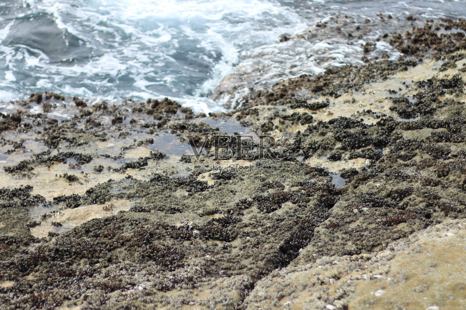 和歌山县仙鸟木的风景照片摄影图片