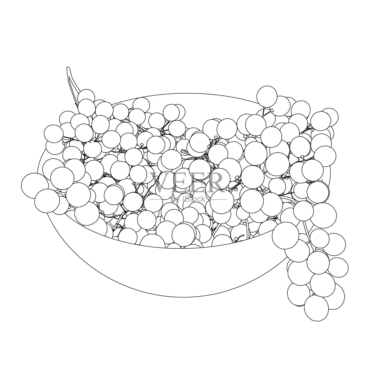 轮廓杯葡萄从黑线孤立在白色背景。矢量插图。插画图片素材