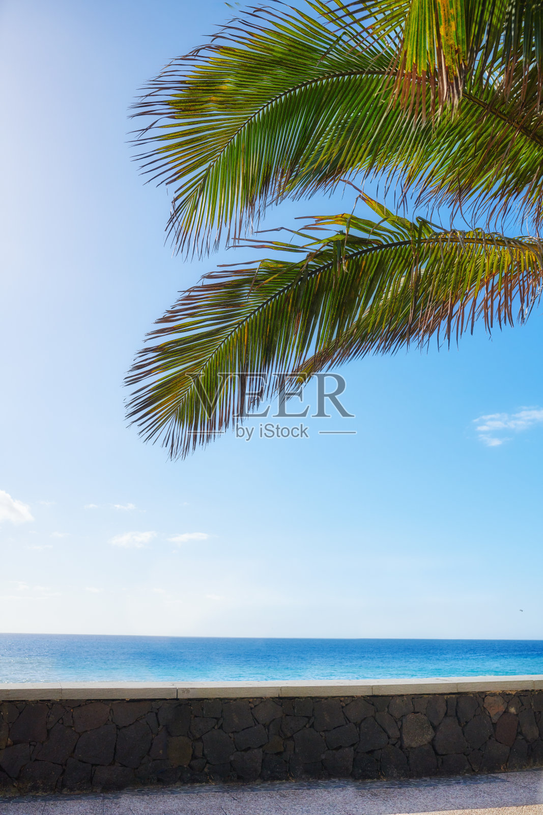 棕榈叶，蓝色的天空和海洋在一个夏天的热带环境。照片摄影图片