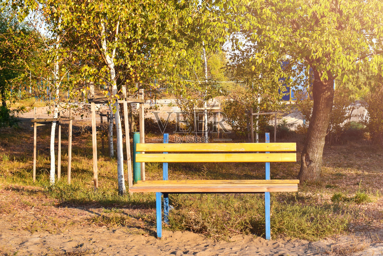 秋天公园里的一张长凳，阳光下有黄叶。照片摄影图片