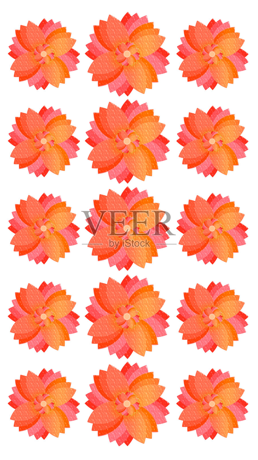 特写一束粉红橙花艺术在红白背景。照片摄影图片