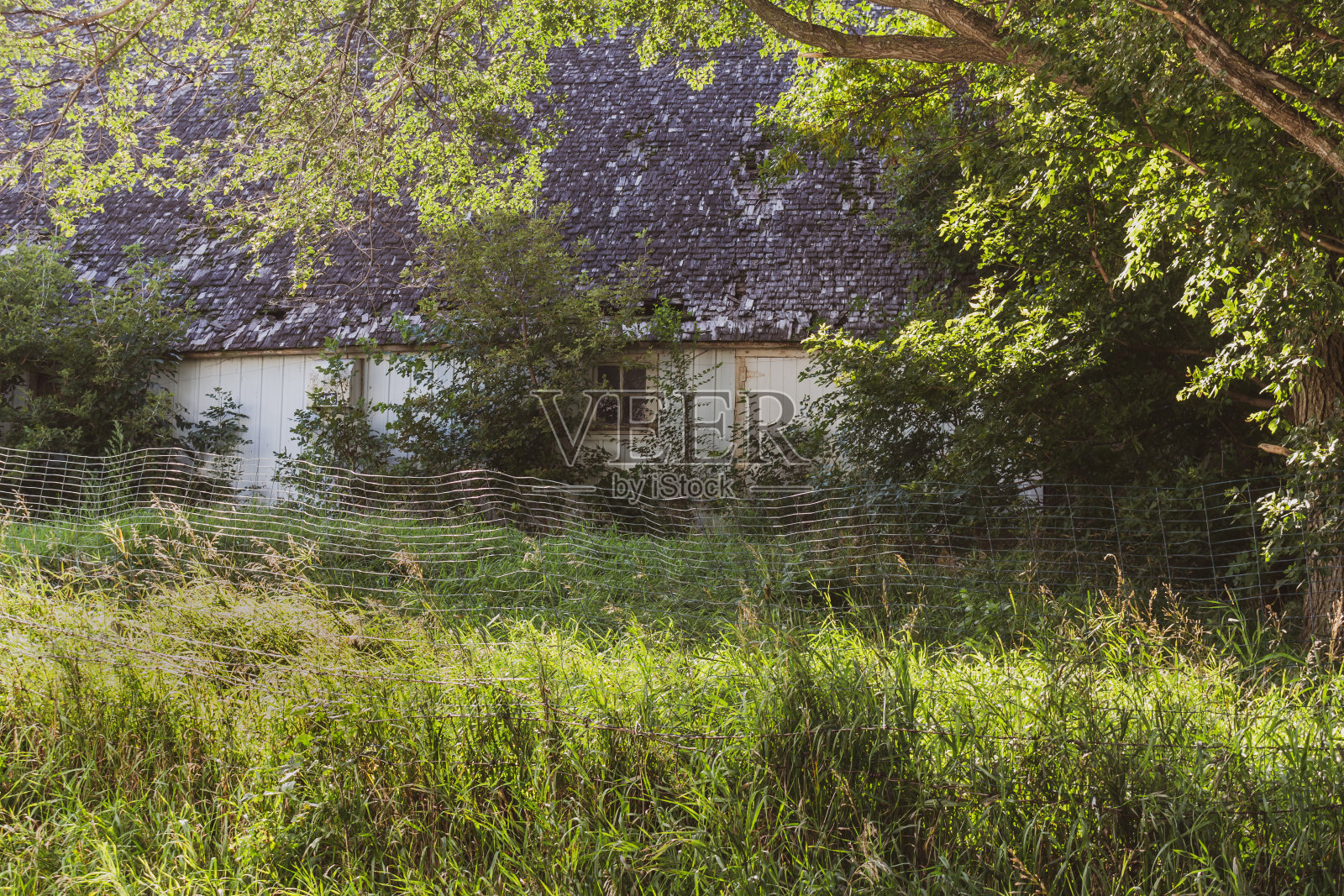 19世纪乡村旧谷仓的田园诗风景照片摄影图片