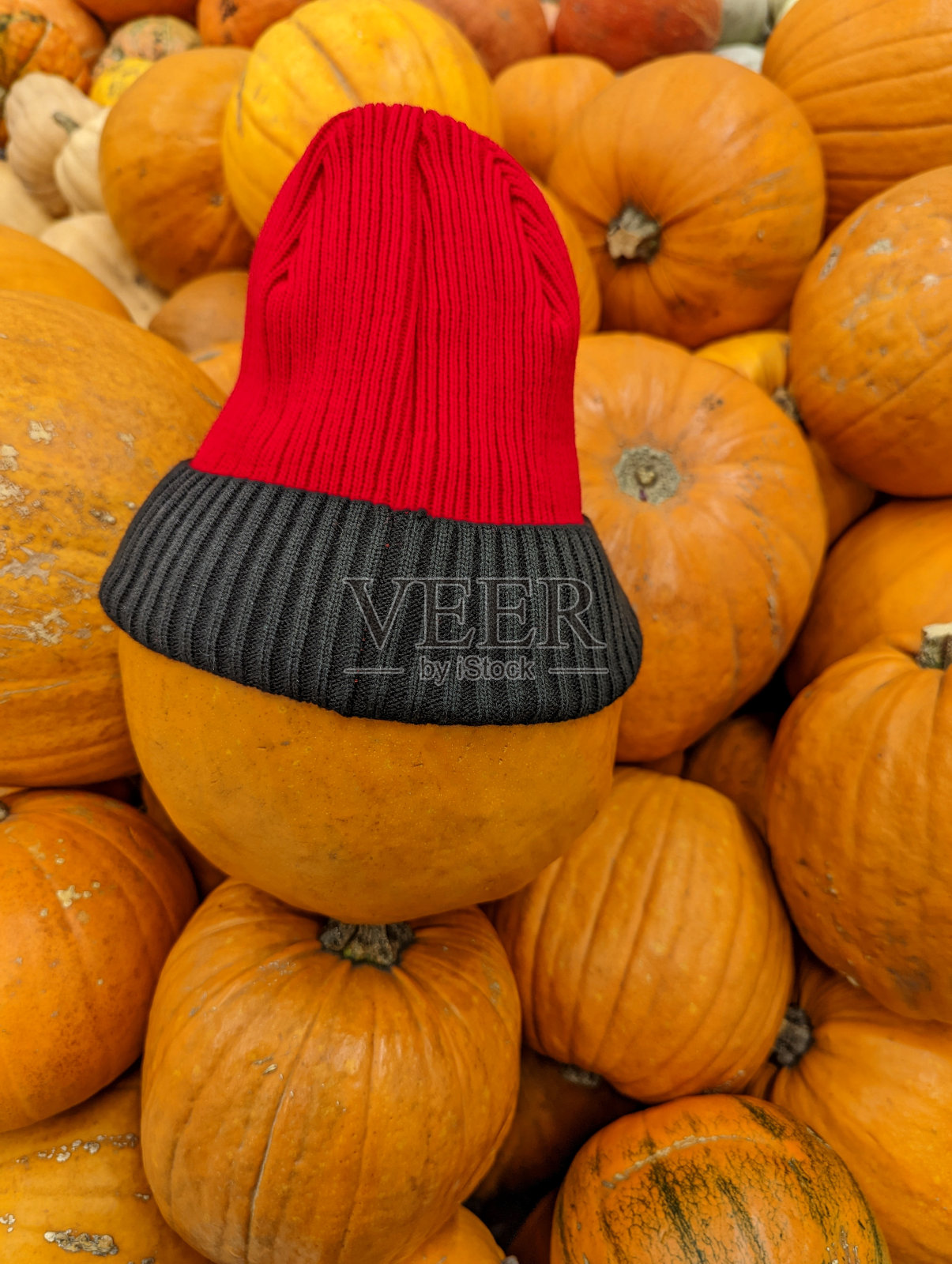 万圣节马上就要到了。戴着羊毛帽子的南瓜照片摄影图片