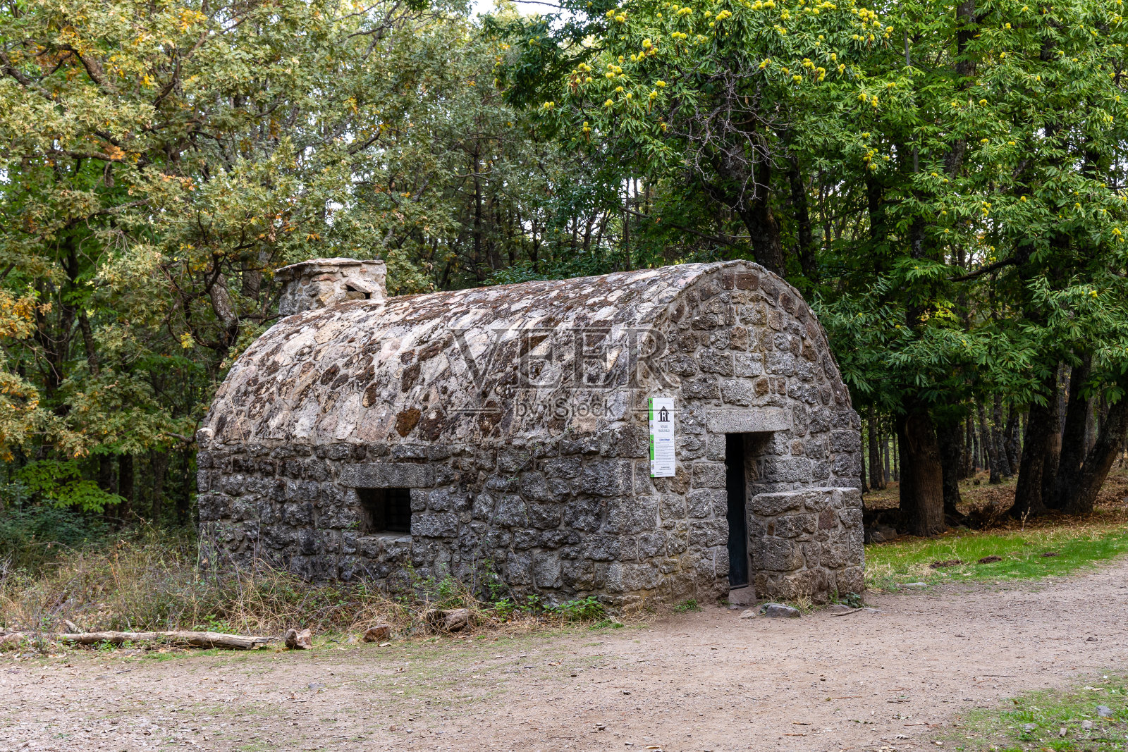 在Castanar El Tiemblo的栗子森林。阿维拉(西班牙)照片摄影图片