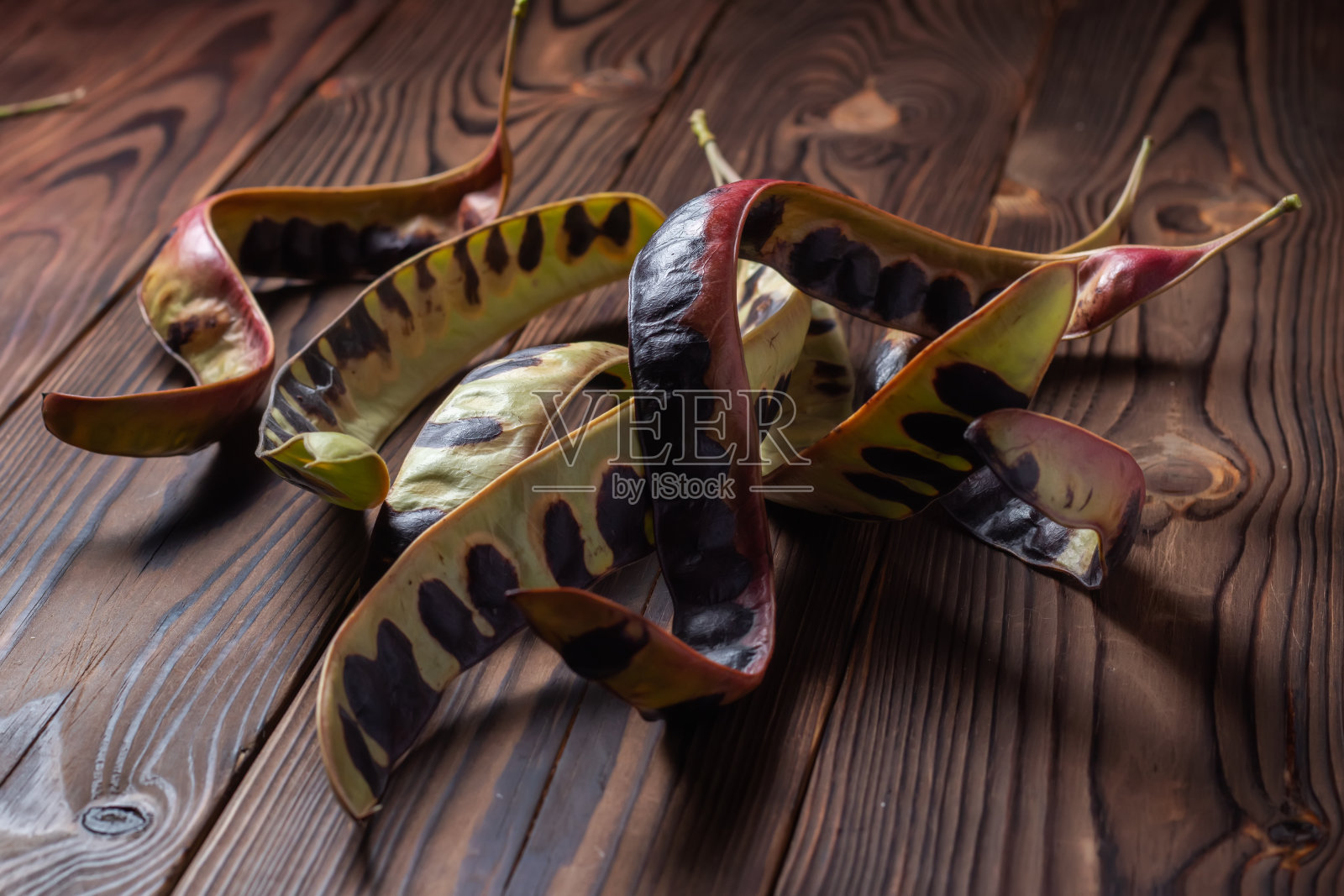 相思的种子。黑色蝗虫。白色相思木背景照片摄影图片