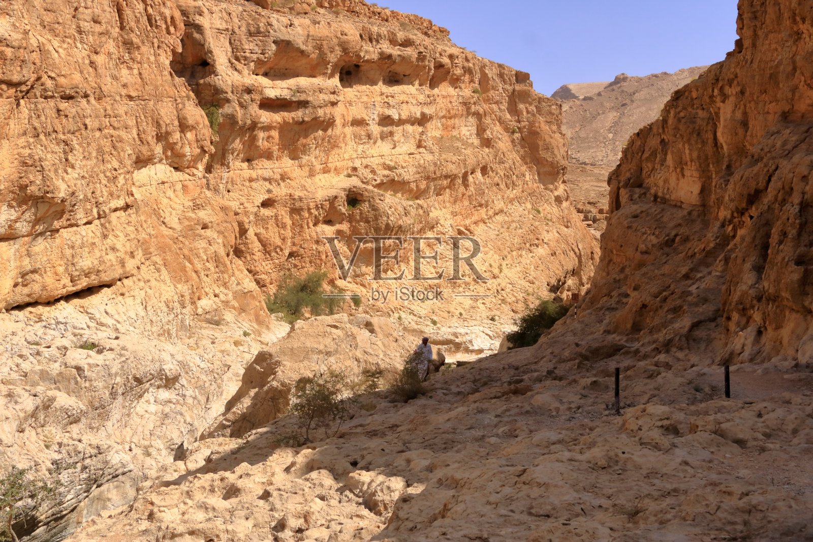 2022年3月21日阿曼瓦迪巴尼哈立德的壮丽自然风光照片摄影图片