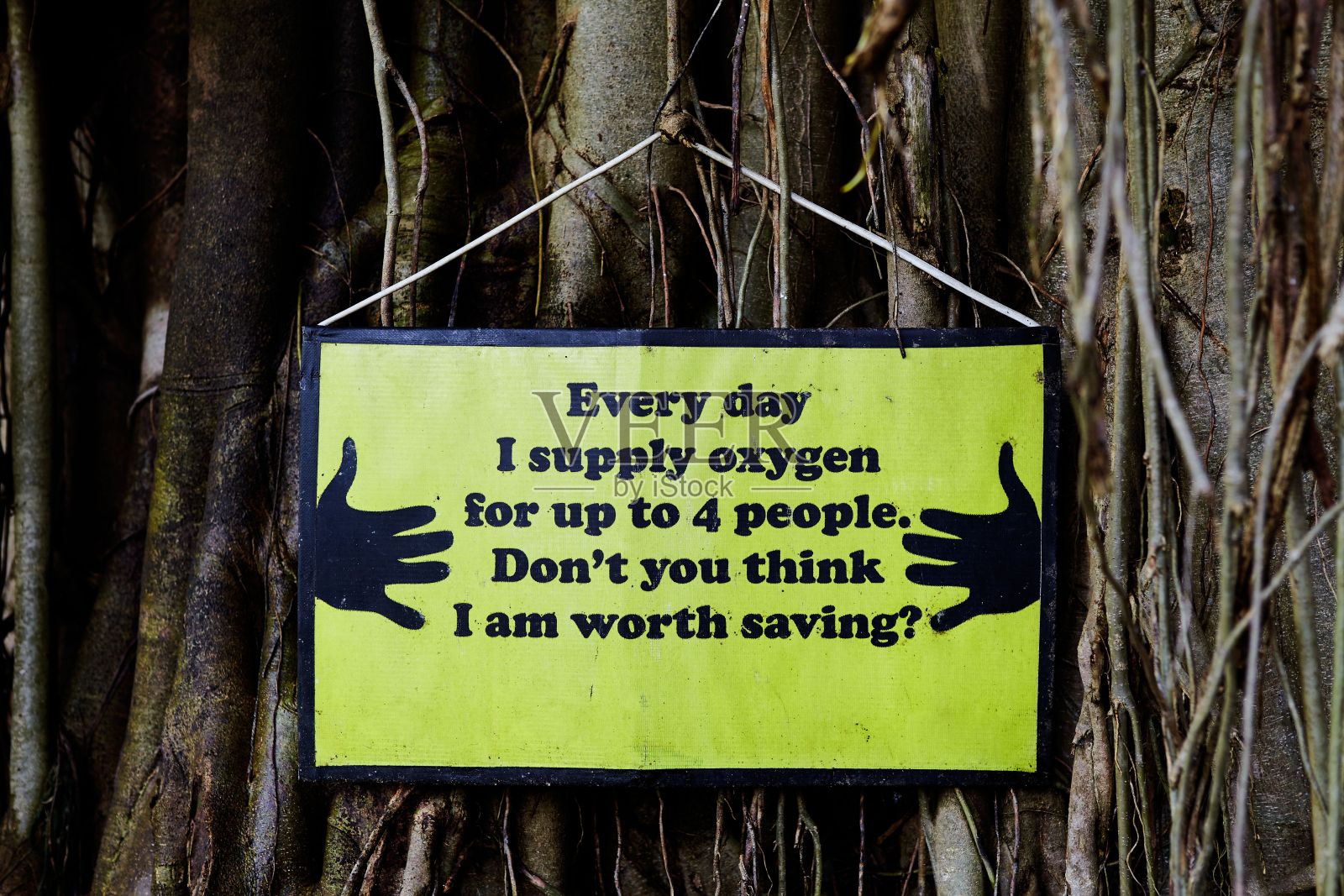 保护环境的名言照片摄影图片