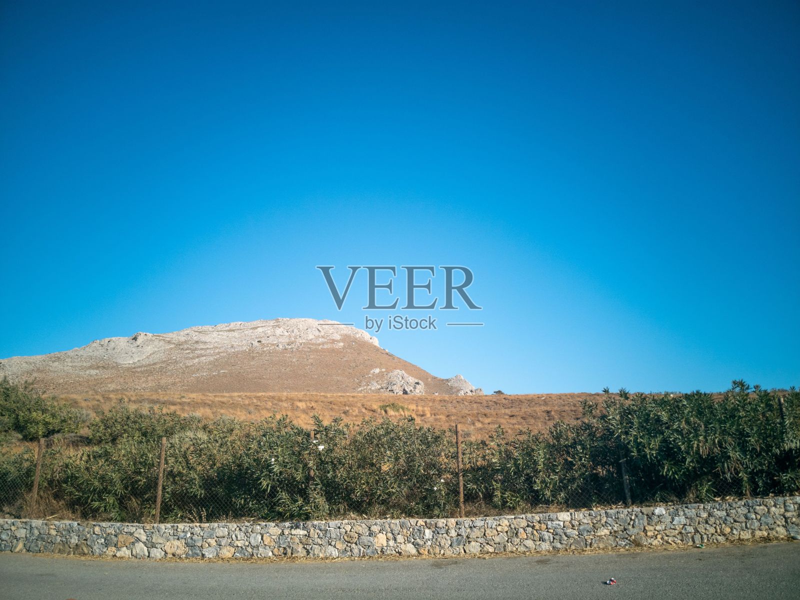 绿色的种植园生长在山坡上的风景照片摄影图片