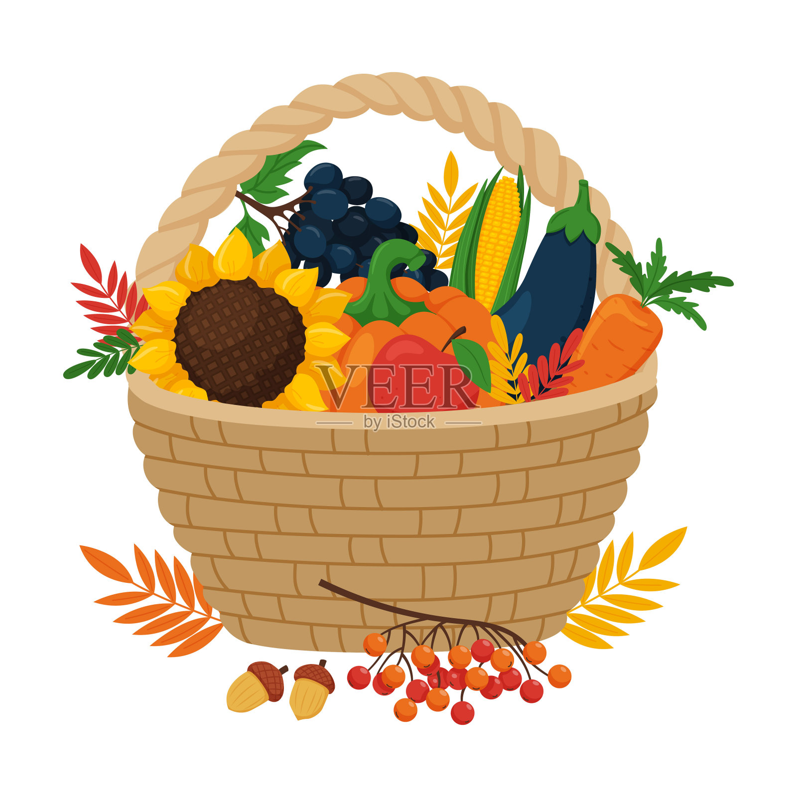柳条篮子里装着秋天收获的蔬菜和水果。矢量平面插图为感恩节或农艺丰收节。孤立在白色背景上插画图片素材
