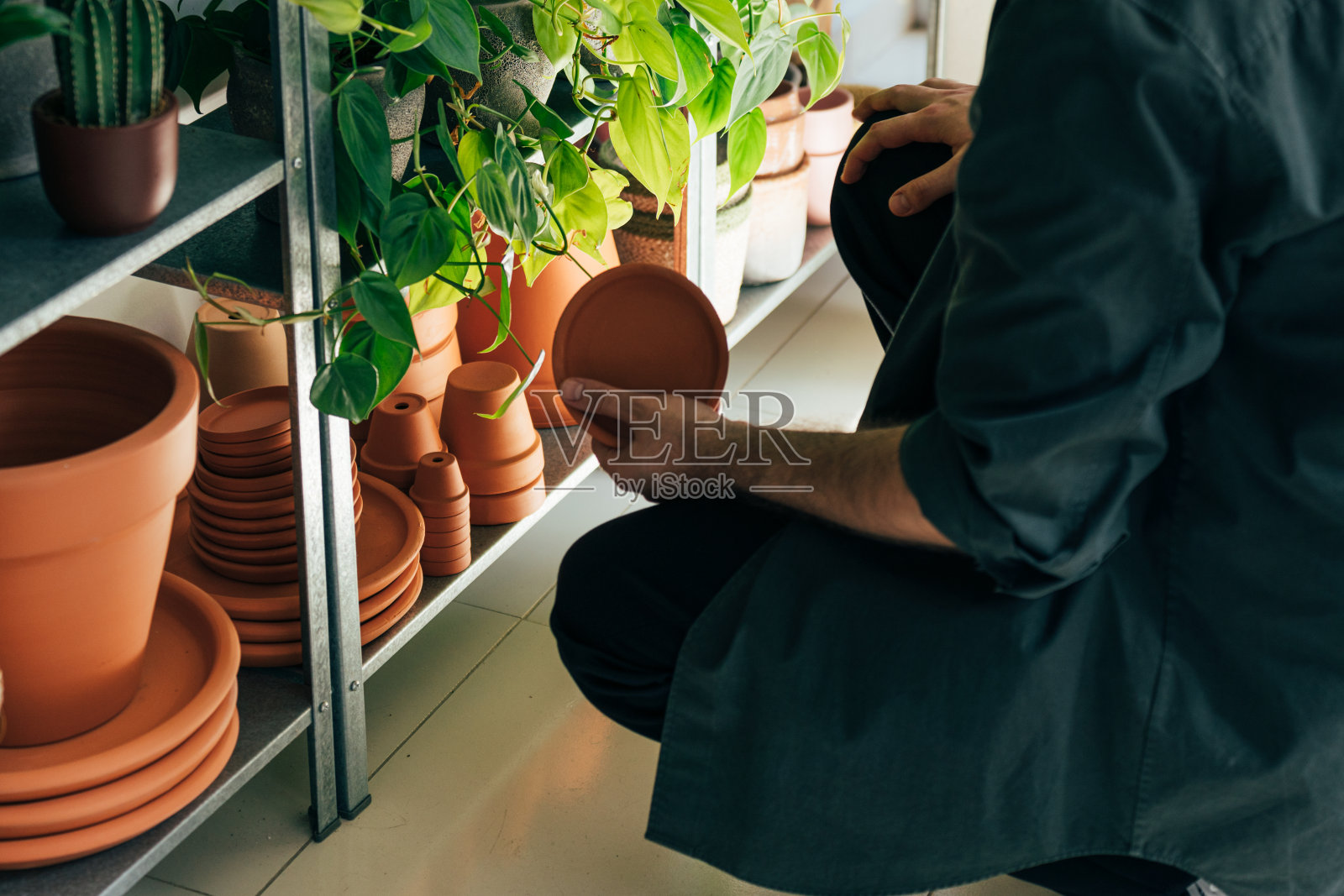 在植物店工作的花商照片摄影图片