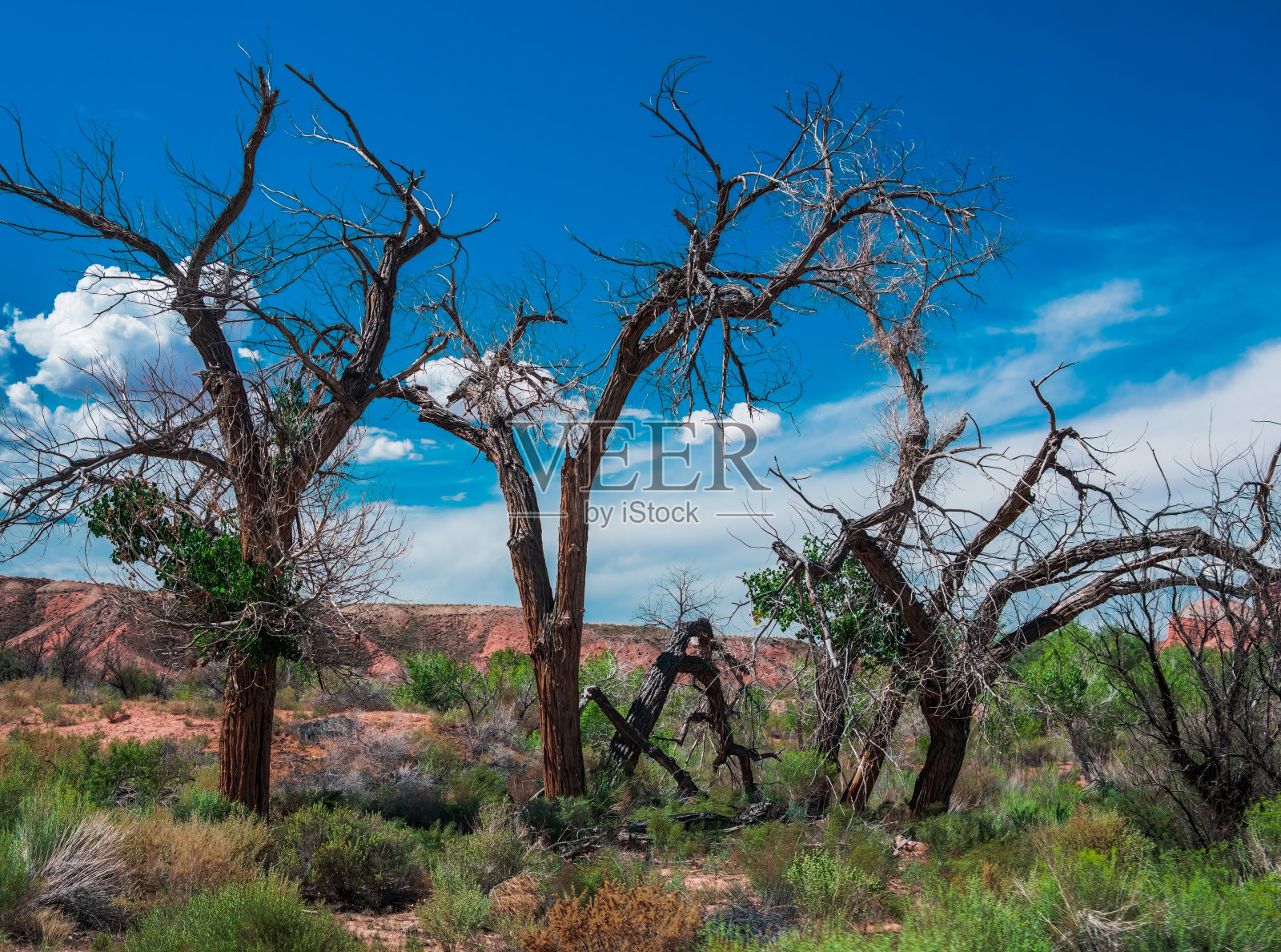 沙漠山脉，国会礁国家公园照片摄影图片
