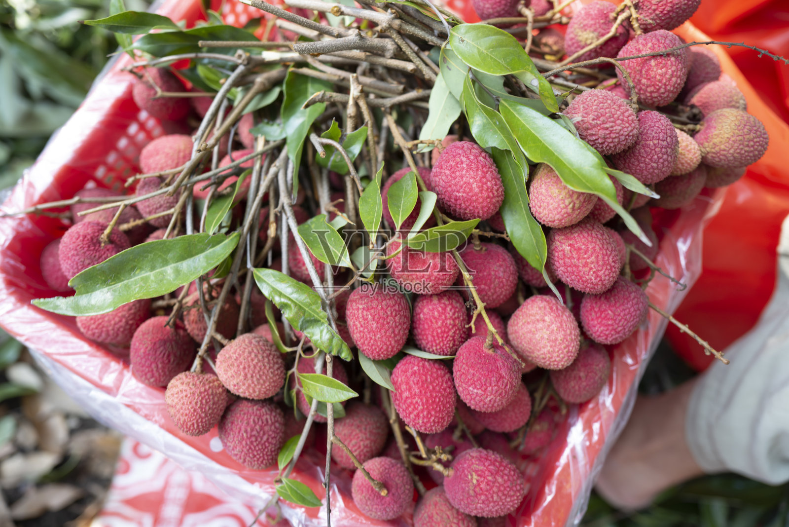 一篮荔枝照片摄影图片