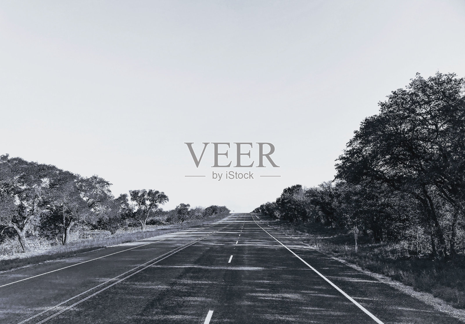 靠近德克萨斯州地理中心的德州希尔乡村公路的灰度图照片摄影图片