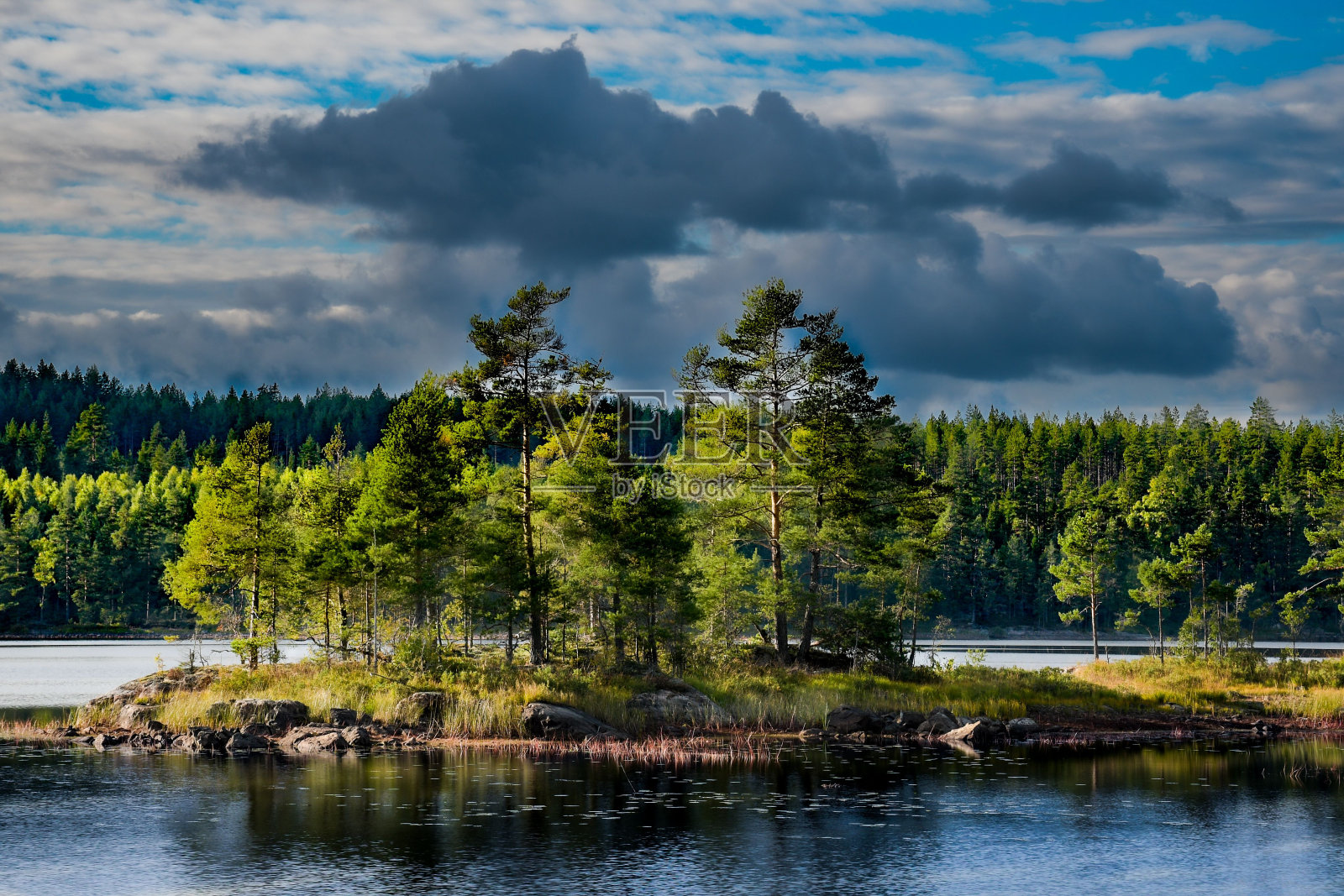 风景优美的湖边，有一个小岛和多云的天空下的针叶树照片摄影图片