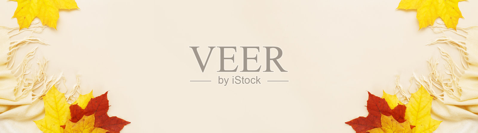 秋叶与围巾在米色背景与复制空间。横幅照片摄影图片