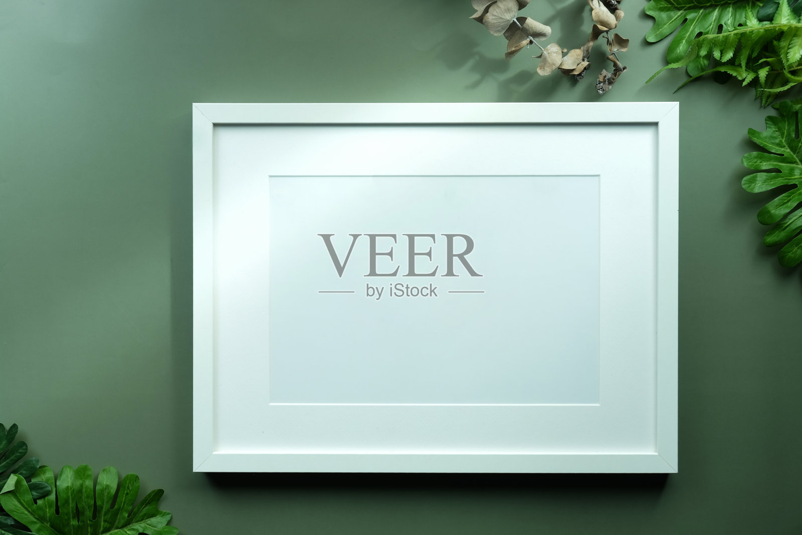 白色的相框和绿色的树叶在绿色的背景。照片摄影图片