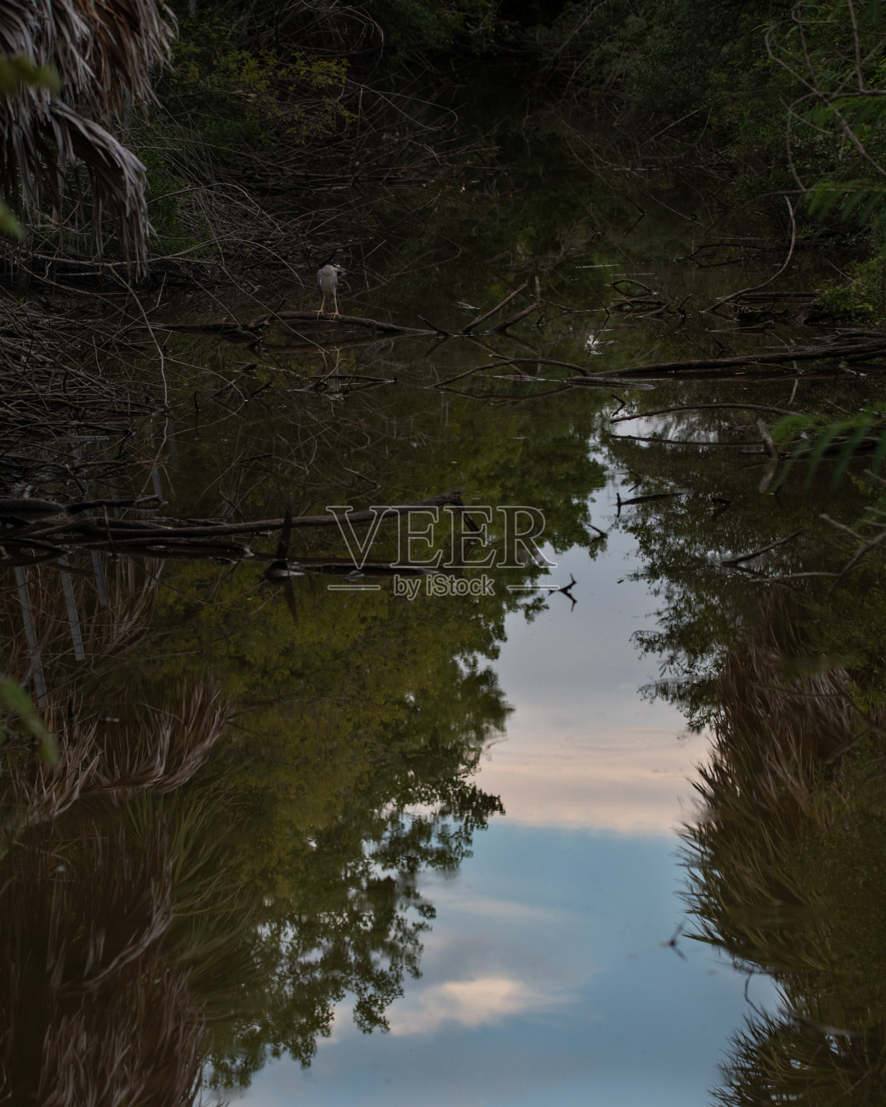 日落溪照片摄影图片