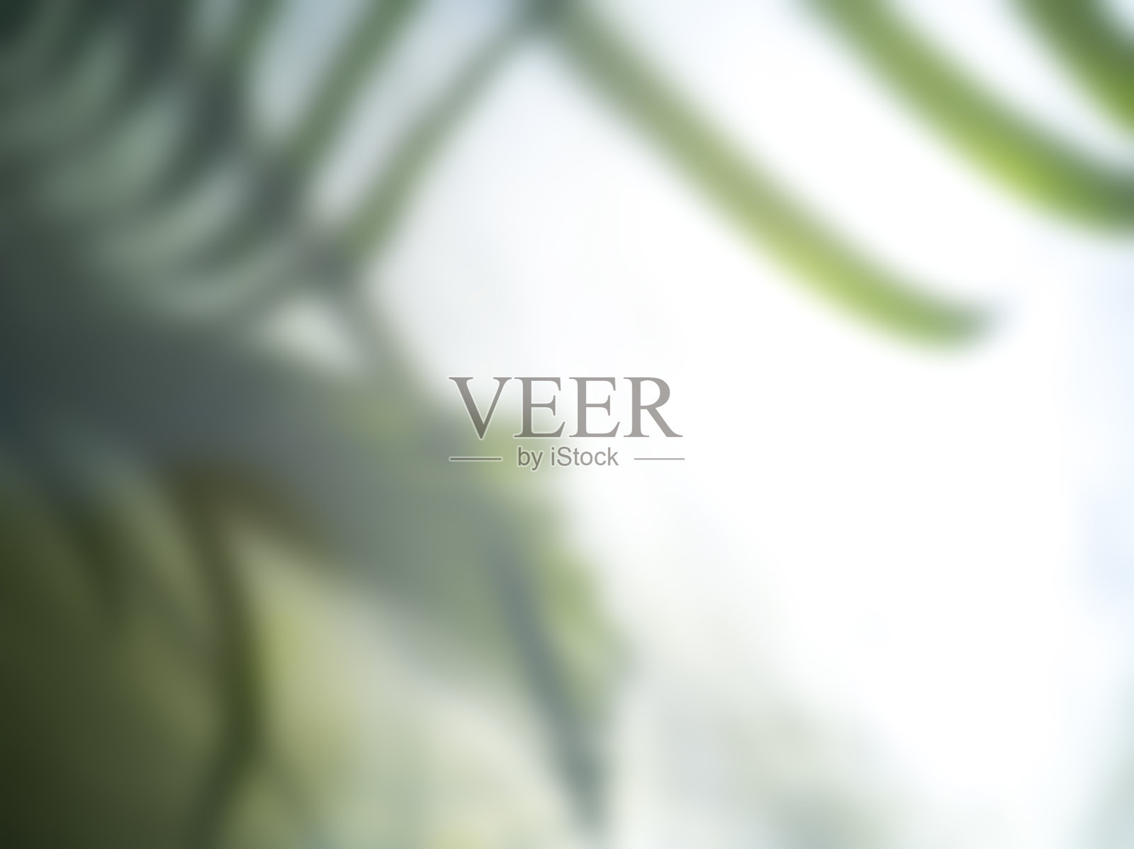 帆布上留下阴影。照片摄影图片