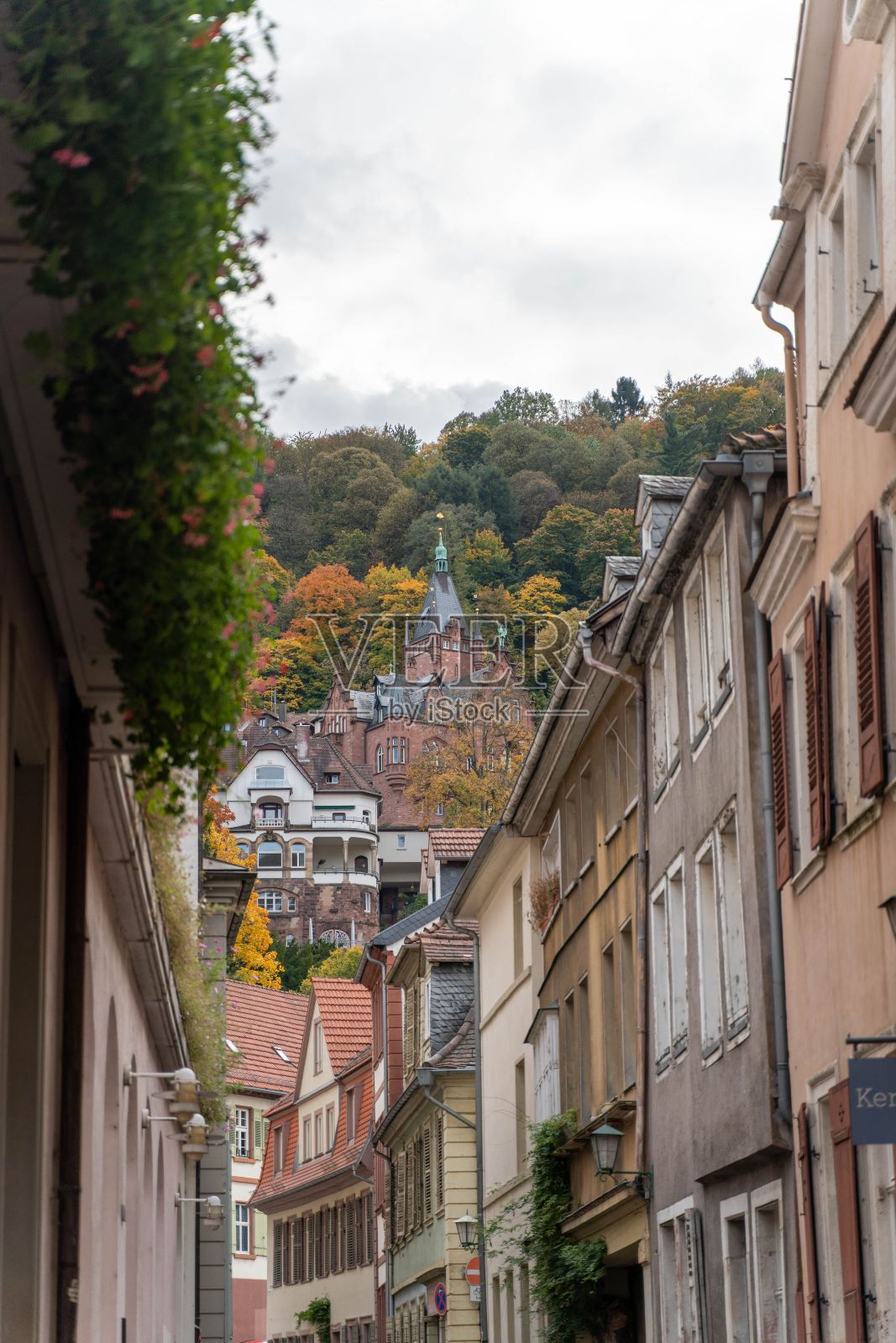 在德国海德堡，被山包围的瓦片屋顶的老建筑垂直拍摄照片摄影图片