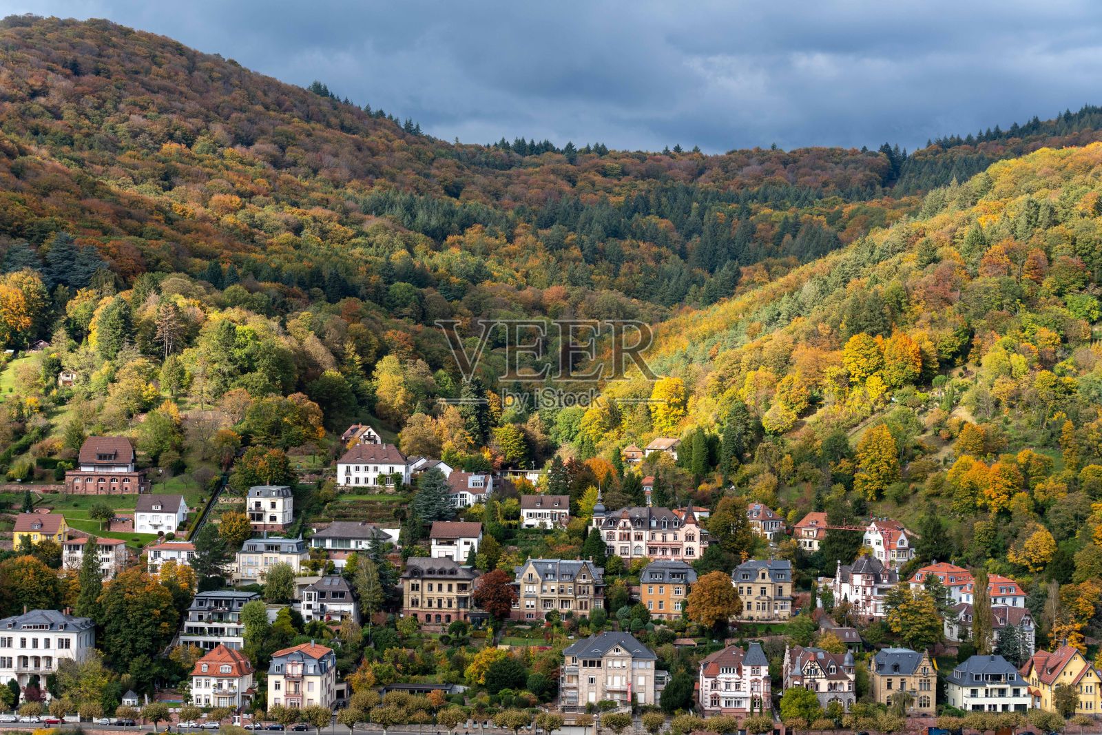 在海德堡舒适的房子周围，充满活力的绿色和黄色树木覆盖着美丽的山丘照片摄影图片