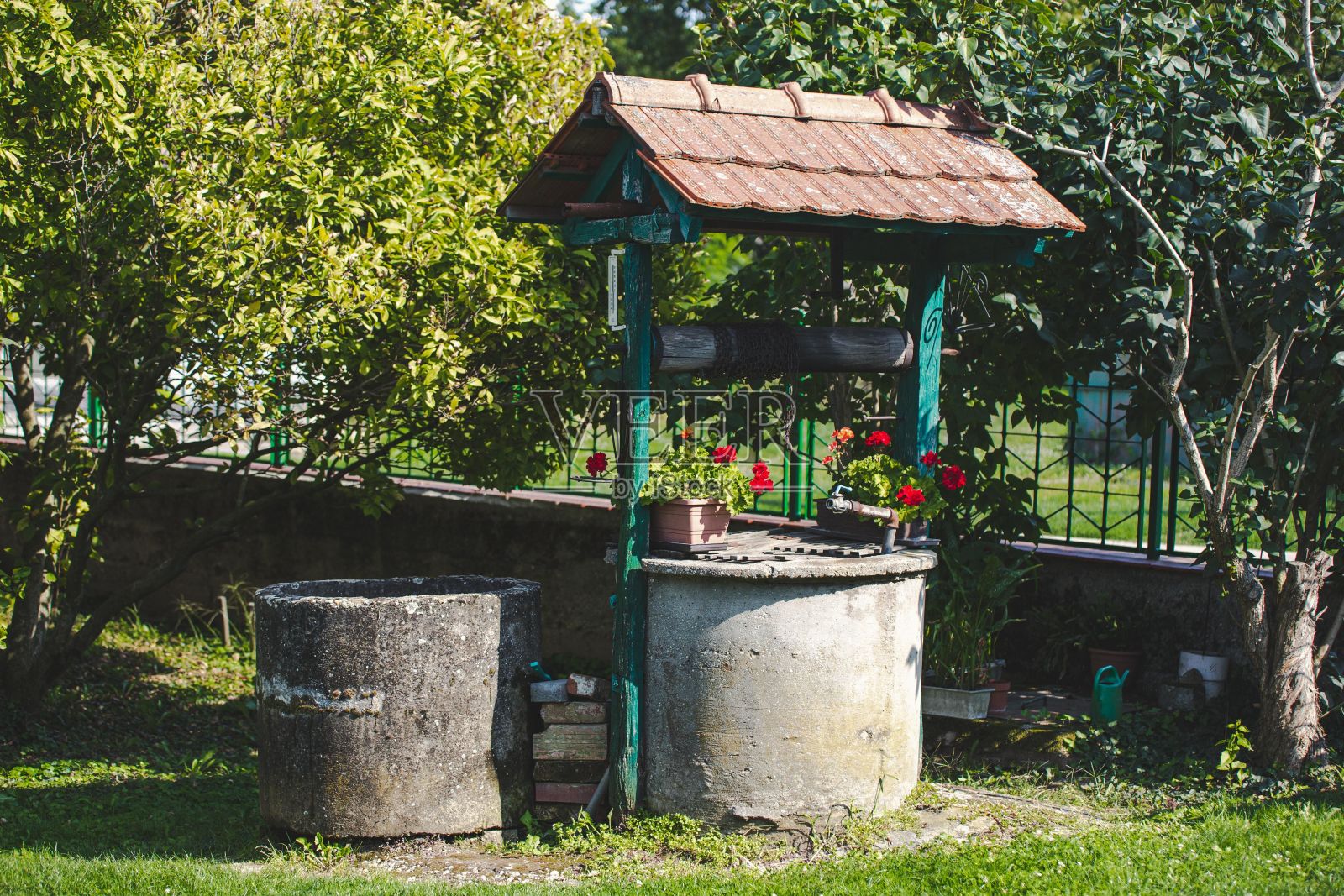 石水井，园中红花照片摄影图片