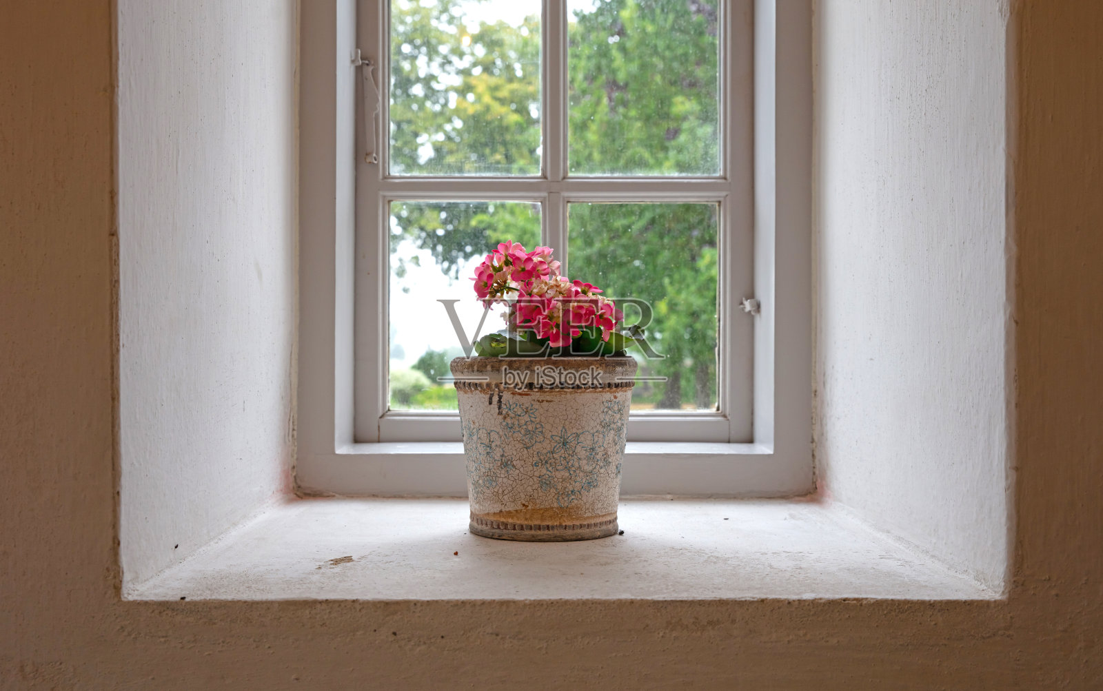 窗台上有一个开着粉红色花朵的旧花盆照片摄影图片