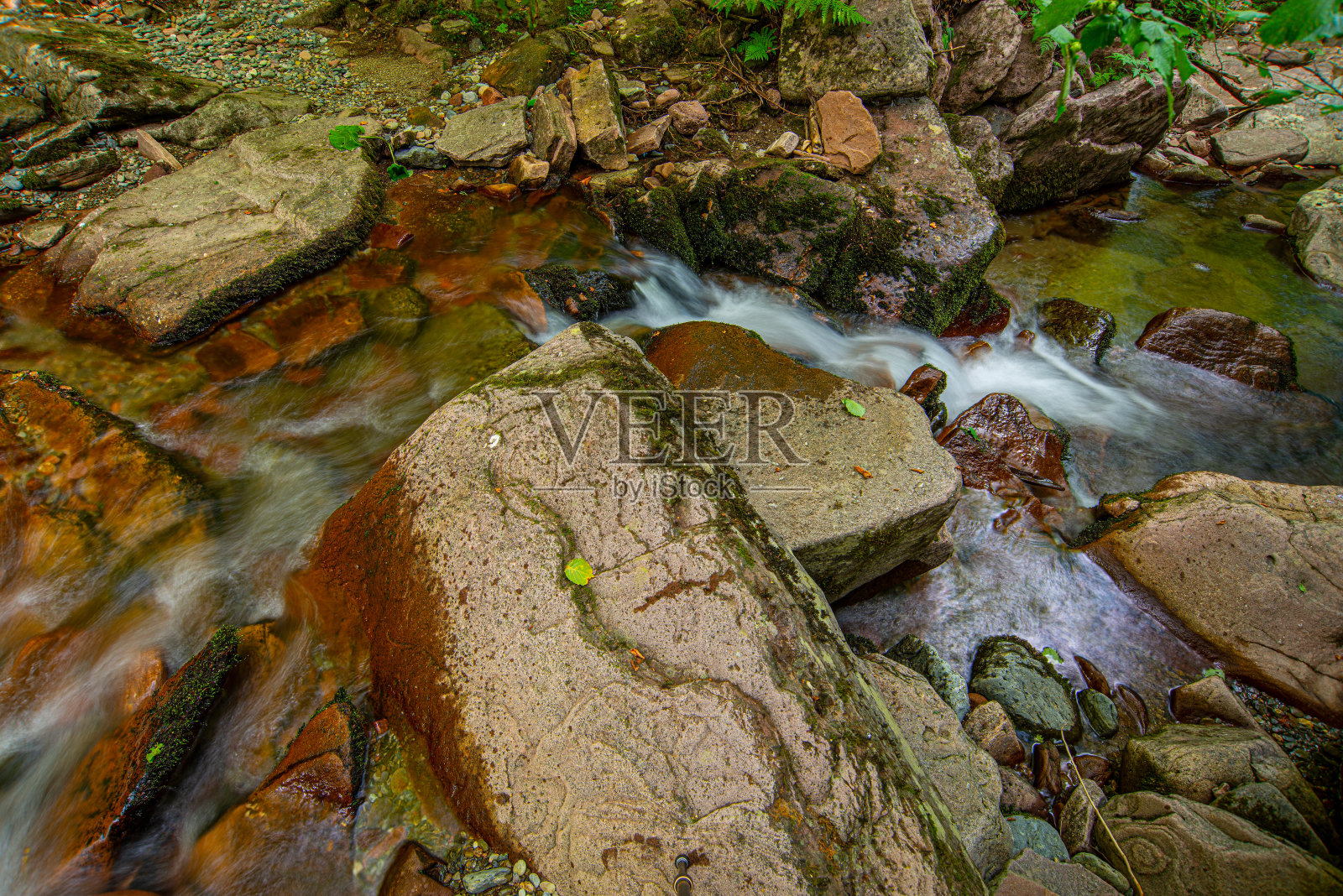 塞尔维亚森林里清澈的山涧照片摄影图片