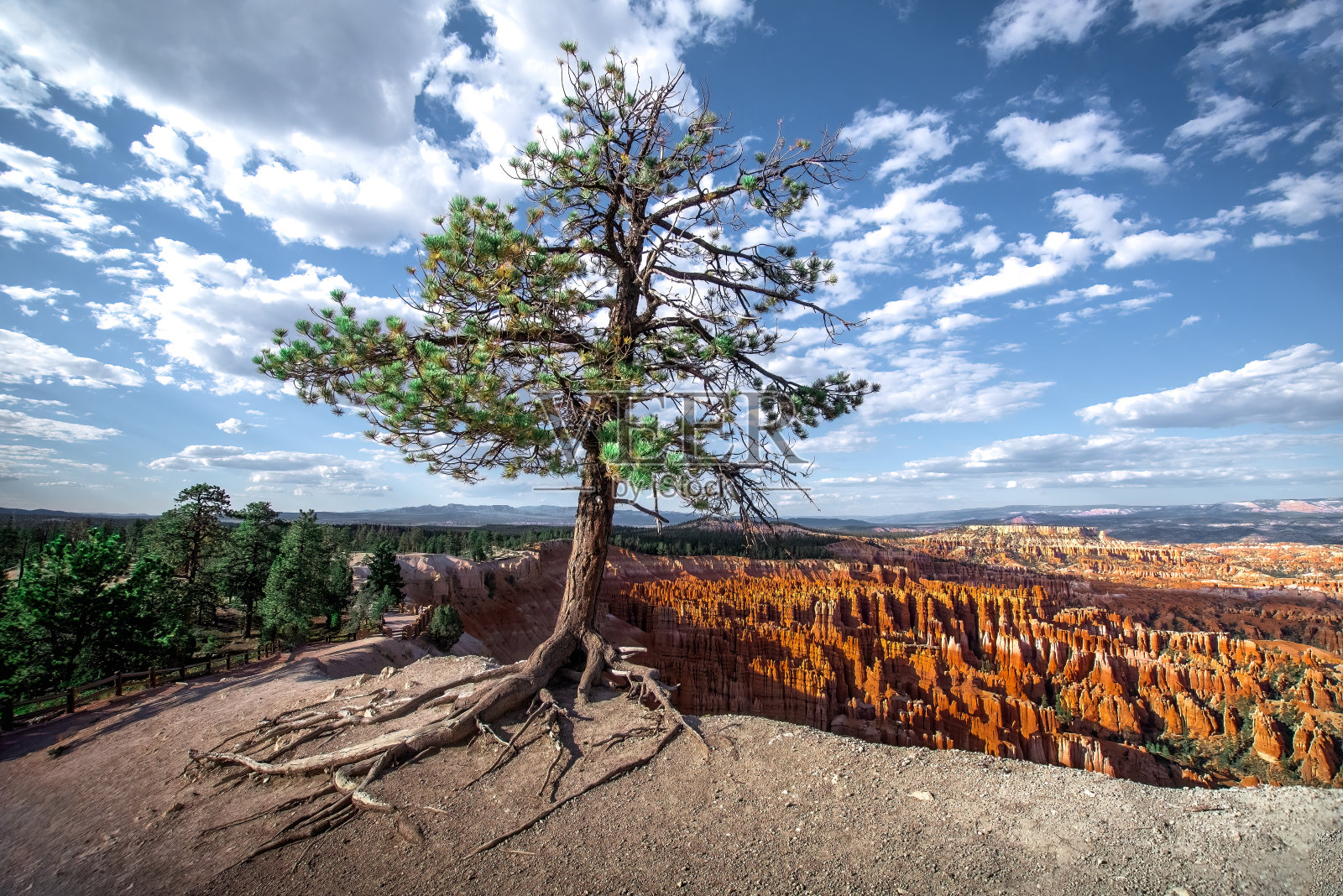 大销照片摄影图片