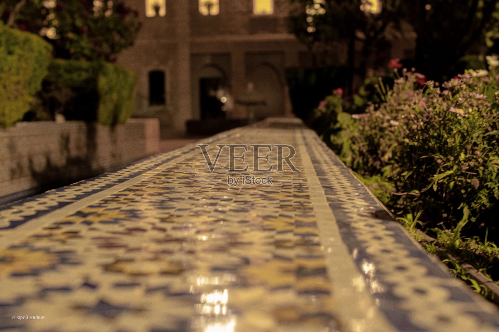 篱笆的特写与精致的艺术周围的植物照片摄影图片