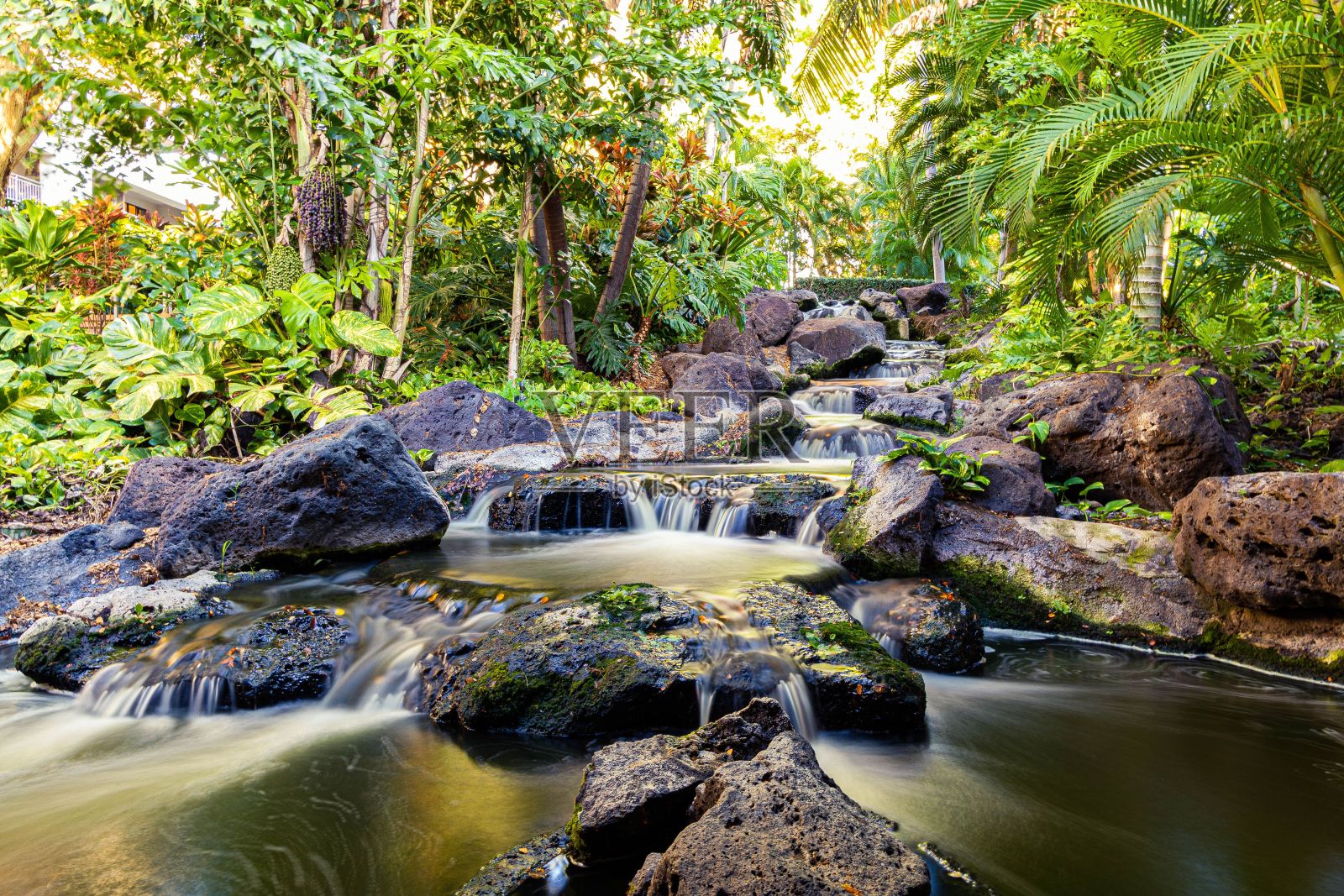 美丽的风景，小溪沿着岩石流下，周围是热带树木和植物照片摄影图片