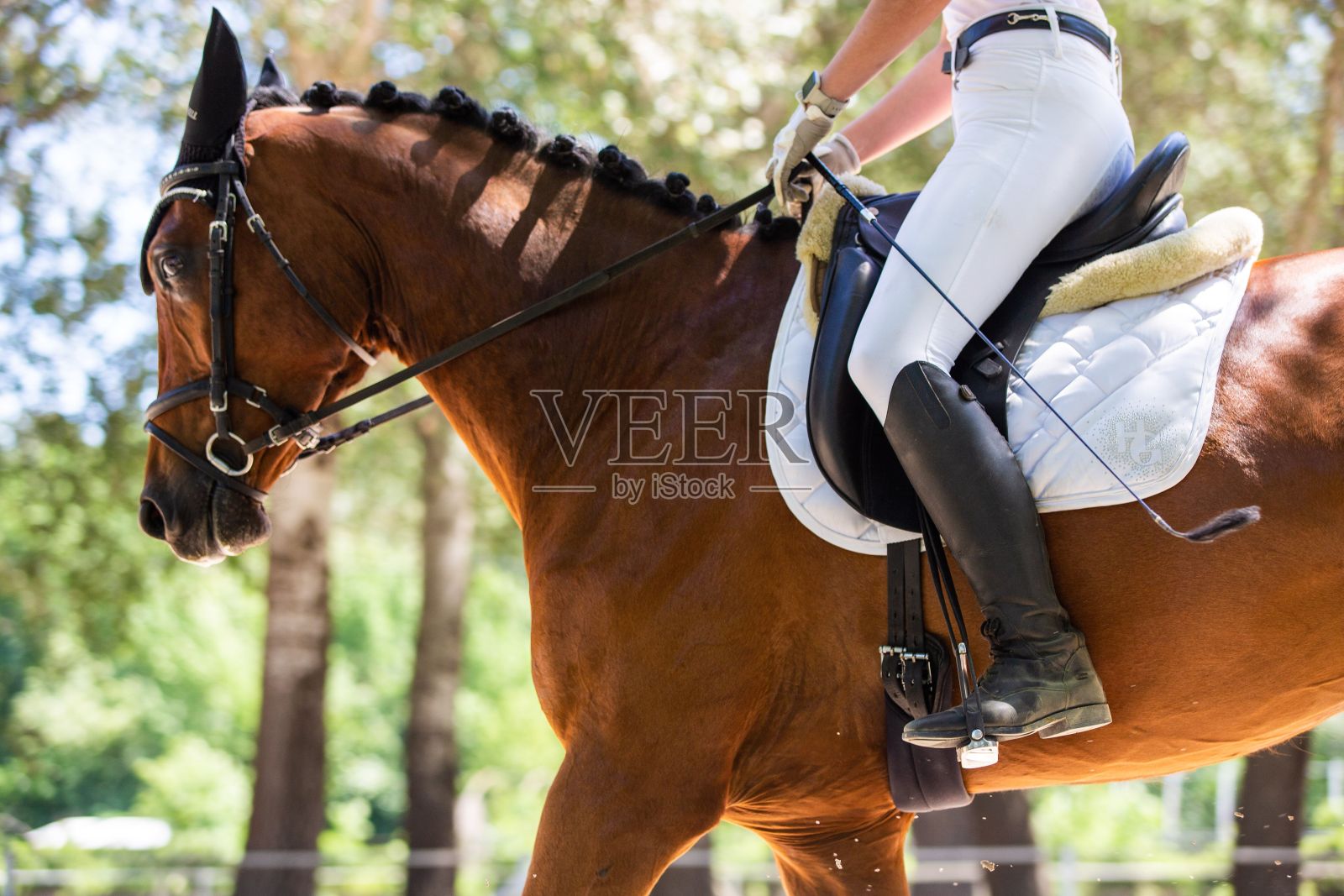 一个女人骑在马上练习盛装舞步照片摄影图片