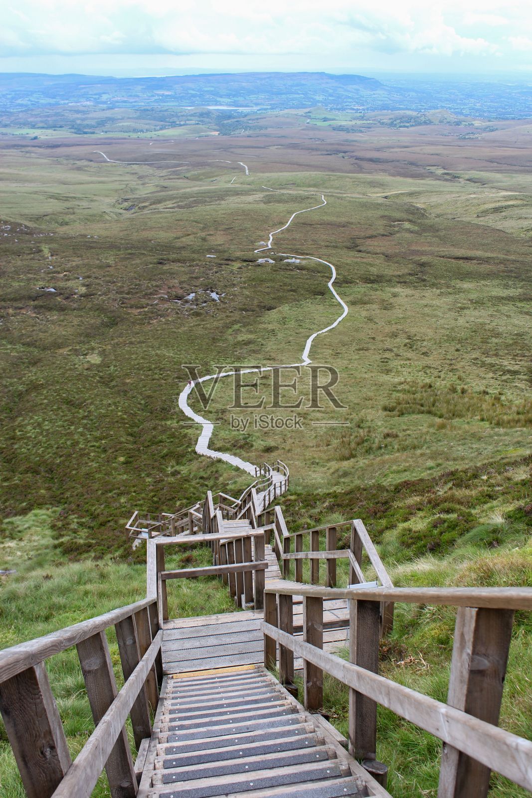在小山上的草丛中间有一条木板路照片摄影图片