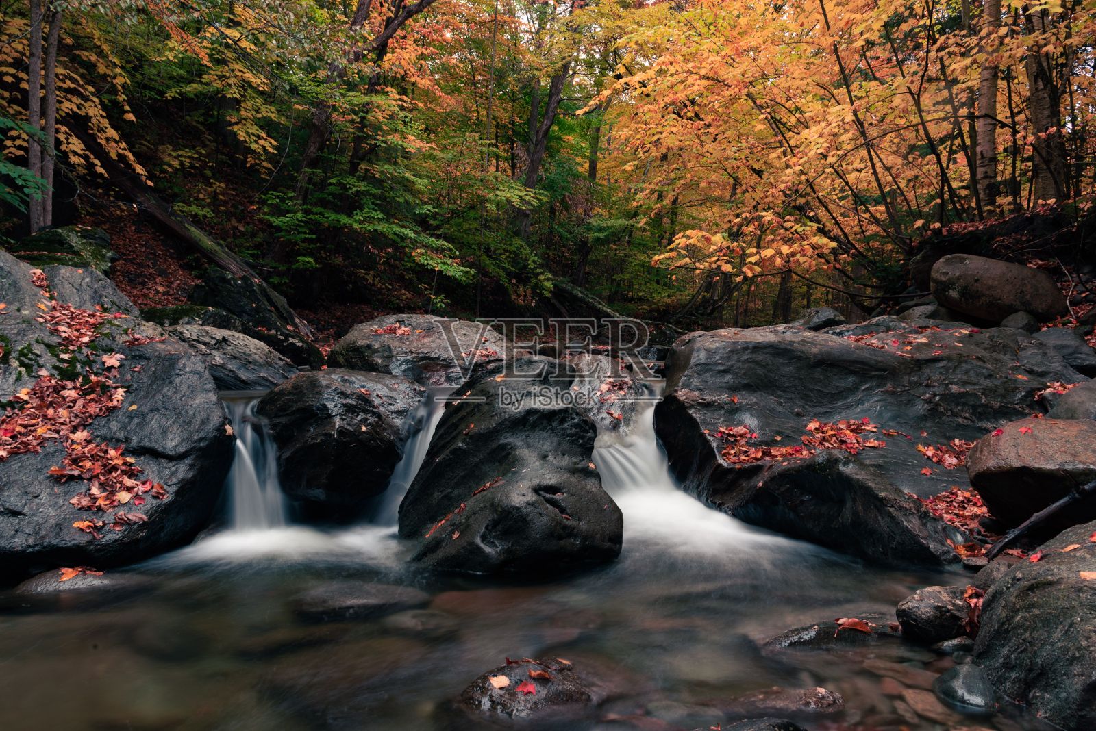 一个小瀑布从森林里的岩石上流过的美丽镜头照片摄影图片