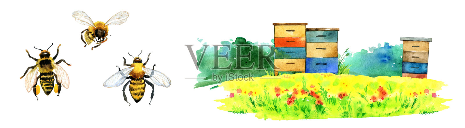 水彩蜜蜂农场插图插画图片素材